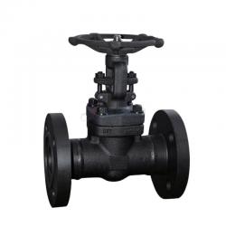 Forged steel Gate valve 800